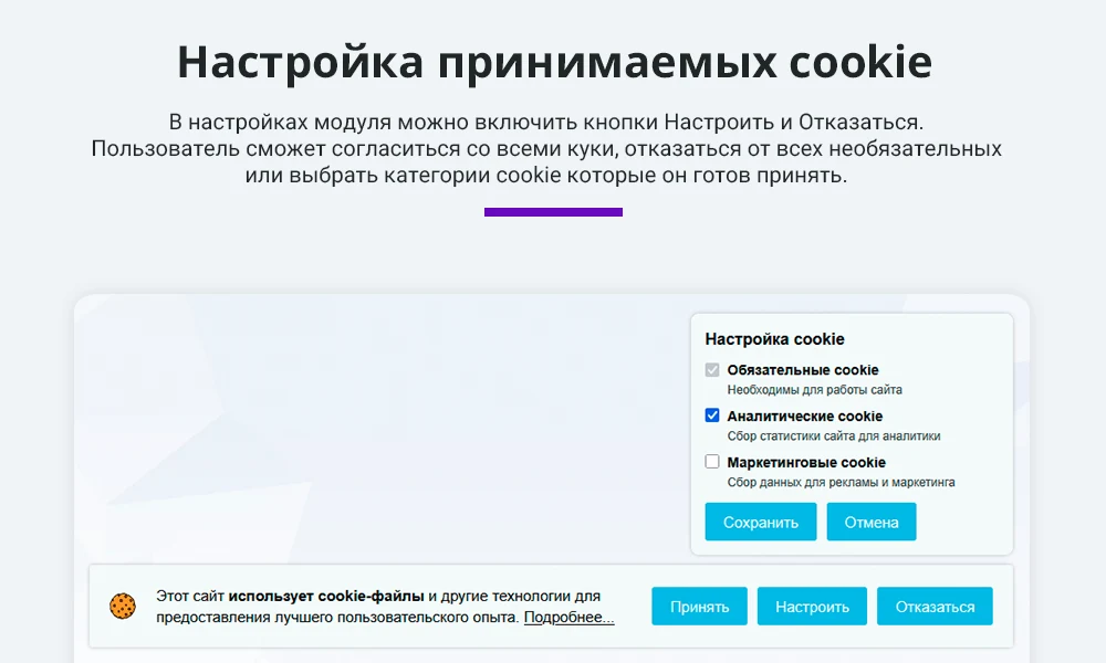 Notification on processing and use of cookie files (consent banner for the cookie policy, Federal Law 152) — 3