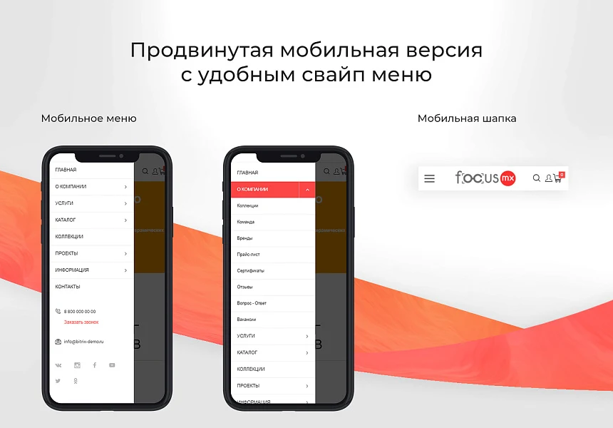 Focus: Корпоративный сайт + интернет-магазин — 1