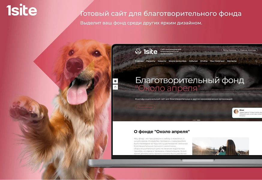 1Site.NKO - Сайт некоммерческой организации, благотворительного фонда — 1