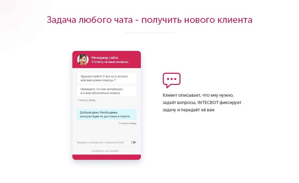 INTECBOT - Чат бот для сайта. Ловец лидов. Роботизированный онлайн-консультант. — 5