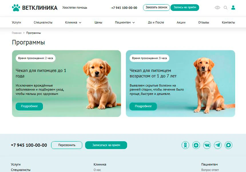 ZEBRA.VET – Veterinary Clinic — 7