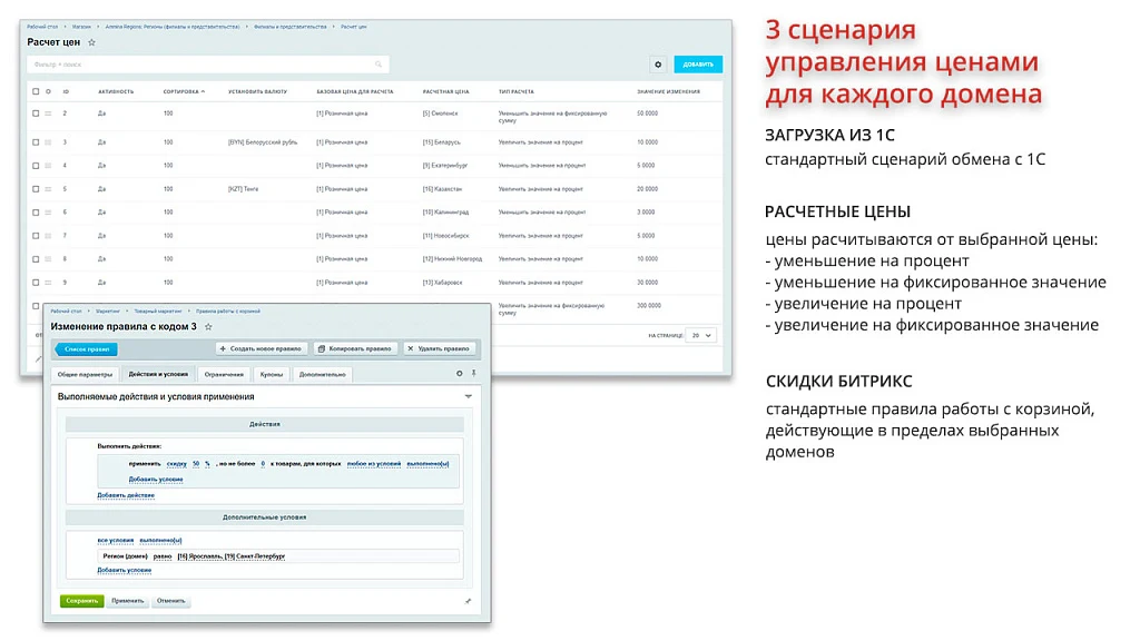 Ammina. Регионы (филиалы и представительства). Мультирегиональность на доменах и URL адресах — 4
