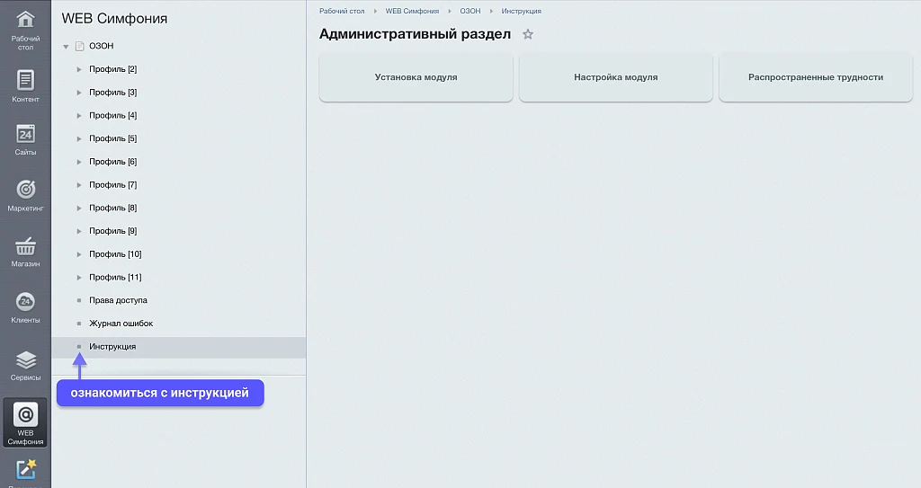 WBS24: Интеграция заказов, остатков и цен с OZON (ОЗОН) по API — 10