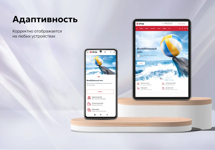 EPIR: Интернет-магазин — 10