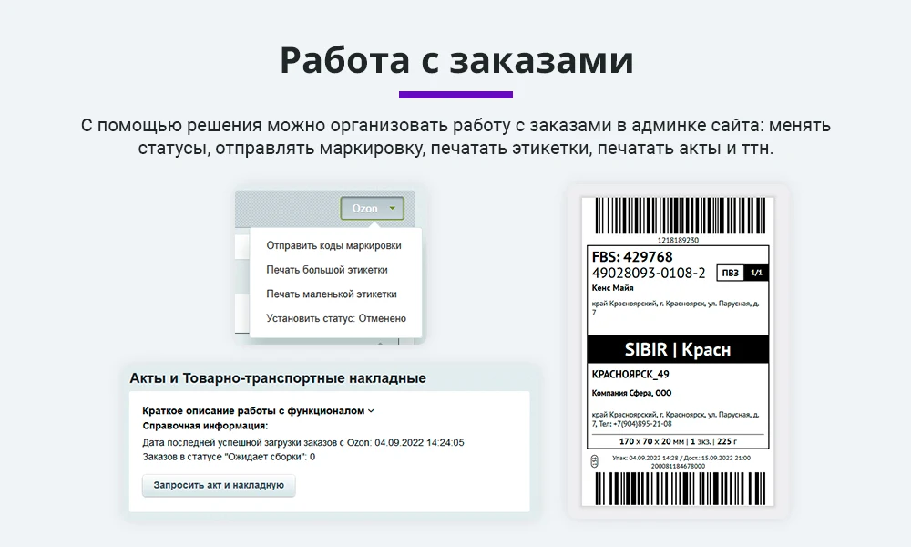 Интеграция с Ozon (Озон) по API. Цены, остатки, заказы, статусы, акты — 5