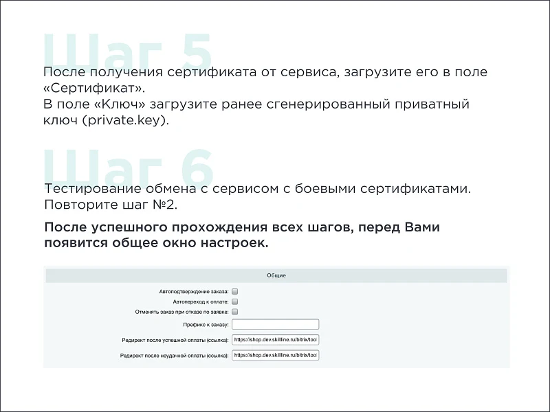 Skillline | BNPL-модуль для интеграции сервиса "Подели" — 8