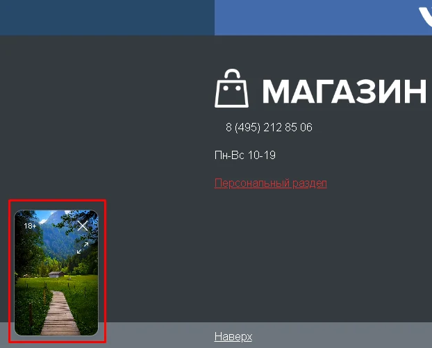 BX365: Видеовиджет для сайта — 3