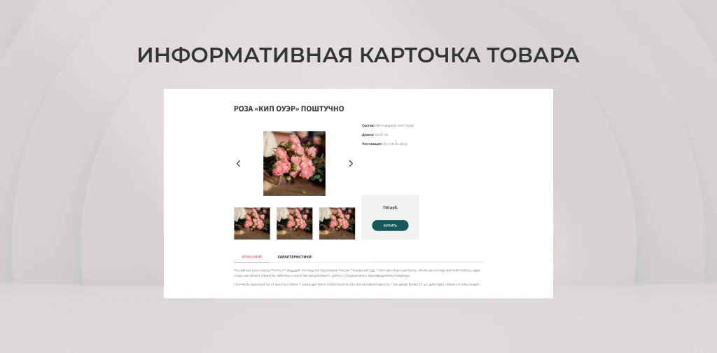 Team-B — Цветы сайт с каталогом товаров — 4