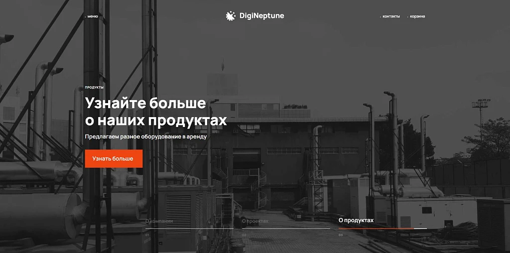 Имиджевый промо-сайт с корзиной товаров DIGINEPTUNE — 1