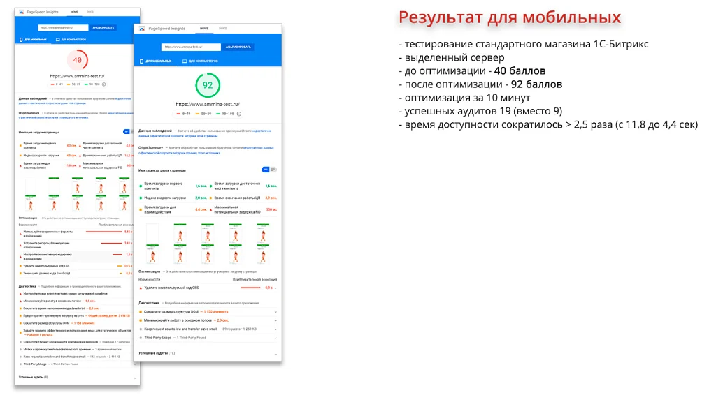 Ammina Optimizer: Оптимизация и ускорение загрузки сайта (CSS, JS, HTML, изображения, WebP, Lazy) — 1