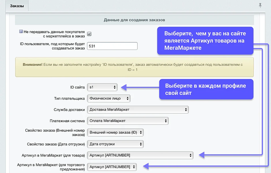 WBS24: Processing orders from MegaMarket via API — 3