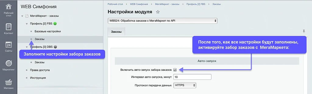 WBS24: Processing orders from MegaMarket via API — 2