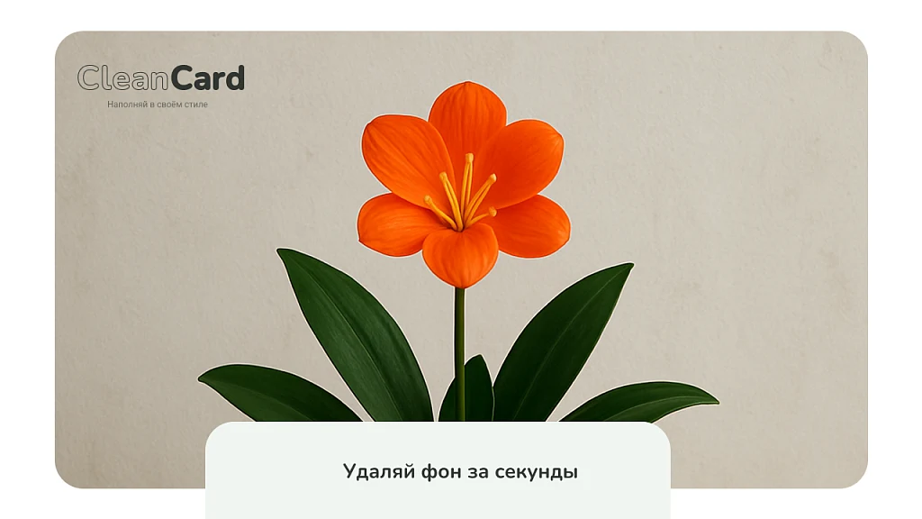 CleanCard — массовое автоудаление фона с изображений — 2