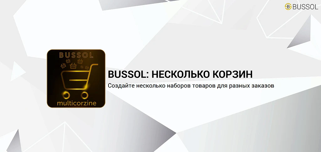 Bussol: Multiple Carts — Multiple Carts in an Online Store — 1