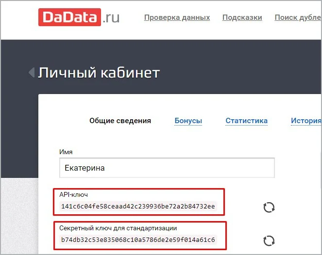 Связь с сервисом dadata.ru — 4