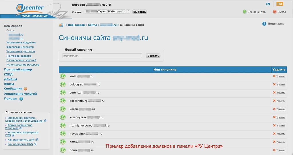 SEO: поддомены + управление метатегами и текстами — 6