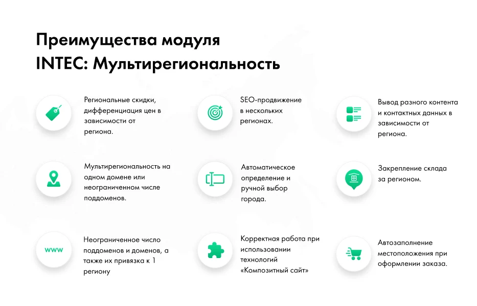 INTEC: Multiregionality - a regional network of your site with search engine optimization — 2