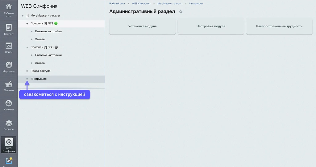 WBS24: Processing orders from MegaMarket via API — 7