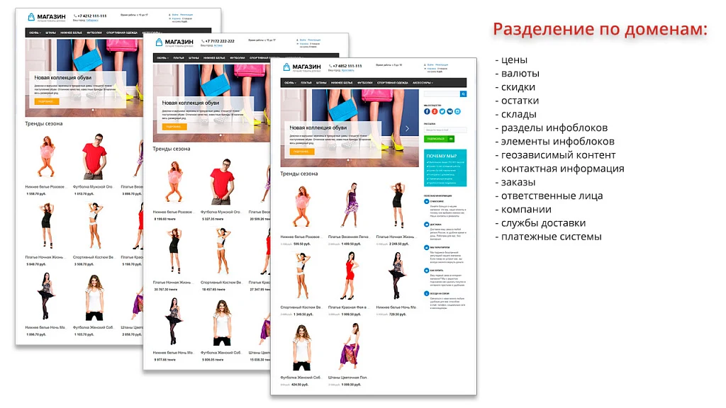 Ammina. Регионы (филиалы и представительства). Мультирегиональность на доменах и URL адресах — 3
