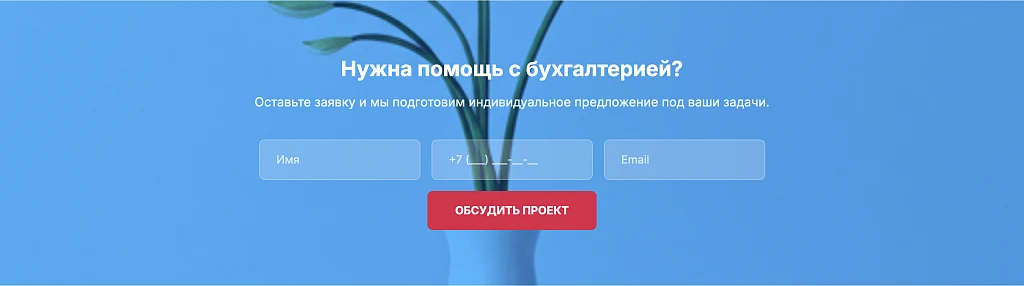BuhProfi - Landing Page. Accounting Services. — 3