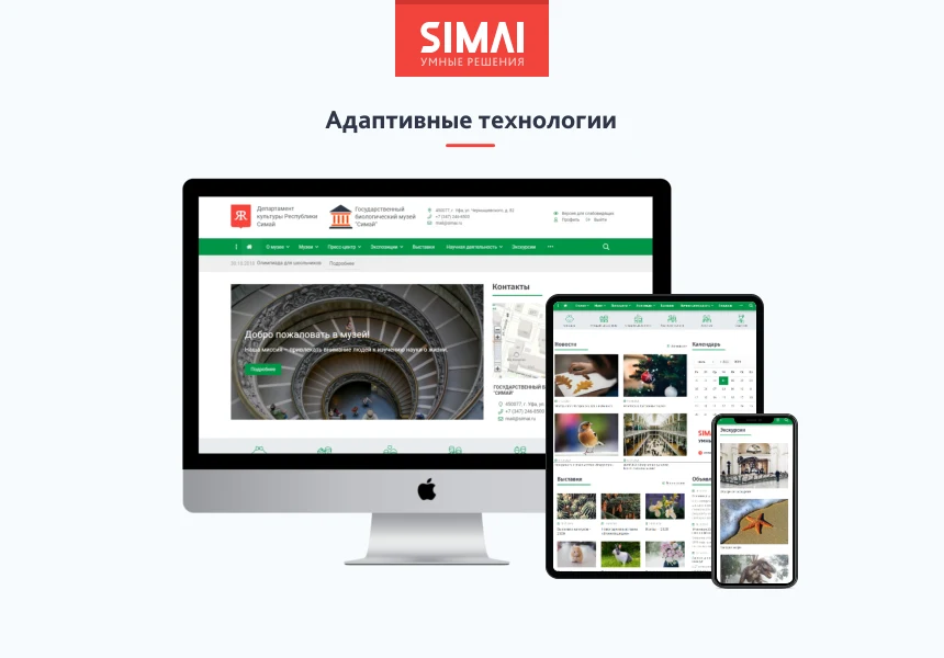 SIMAI-SF4: Сайт учреждения культуры - музея, адаптивный с версией для слабовидящих — 2