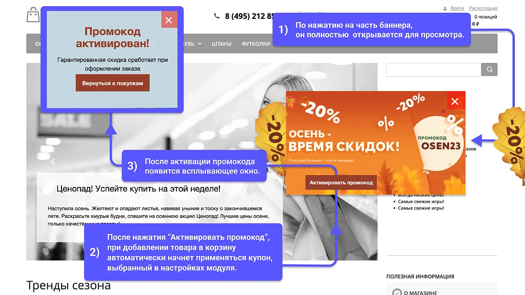 WBS24: Pop-up promotional banner and automatic promo code application — 1
