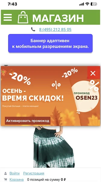 WBS24: Pop-up promotional banner and automatic promo code application — 3