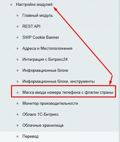 Маска ввода номера телефона с флагом страны — 2