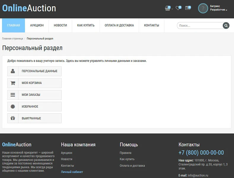 Ready-made solution: Internet Auction — 9