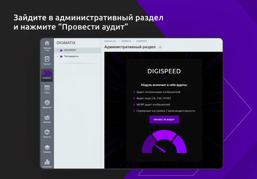 DIGISPEED Analyzer - Анализатор скорости сайта — 2