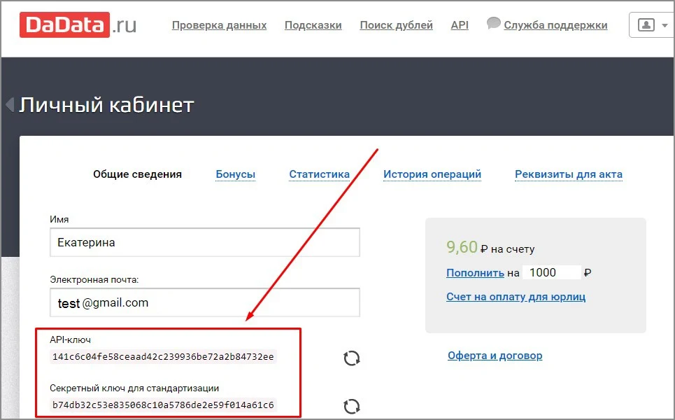 Получение реквизитов из сервиса Дадата — 5