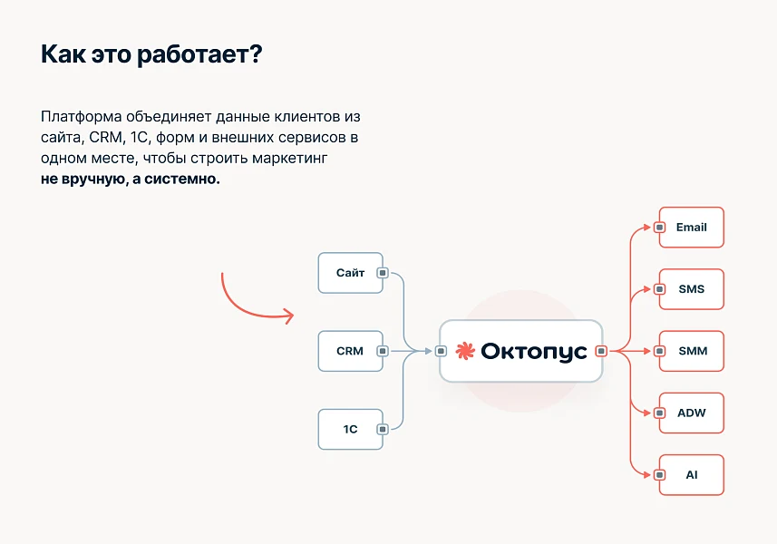 Октопус CDP: автоматизация маркетинга — 3