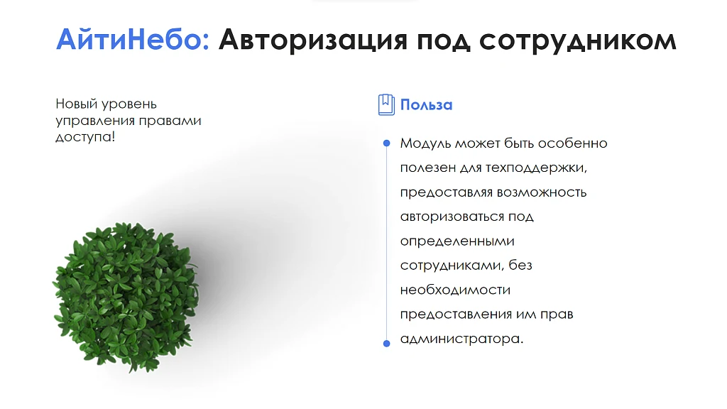 АйтиНебо: Авторизация под сотрудником — 9