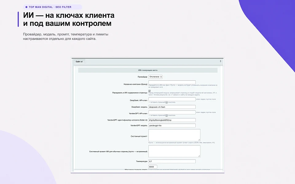 Top Man Digital: SEO умного фильтра, мета, ЧПУ и ИИ для страниц сайта — 17