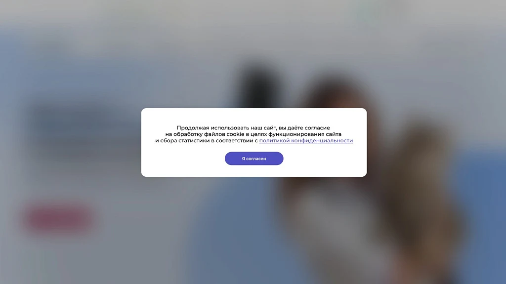 STARt: Уведомление об обработке файлов cookie — 4