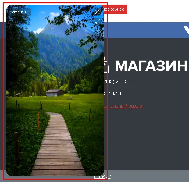 BX365: Видеовиджет для сайта — 4