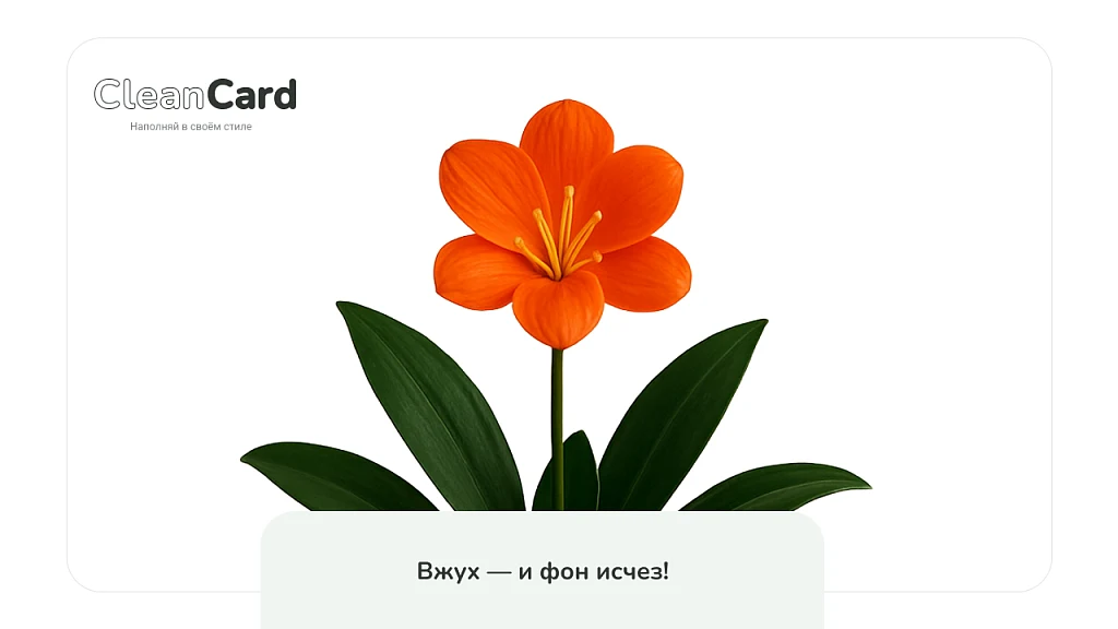 CleanCard — массовое автоудаление фона с изображений — 3