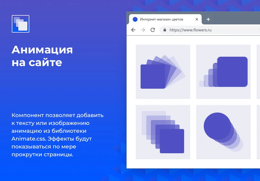Анимация на сайте — 1